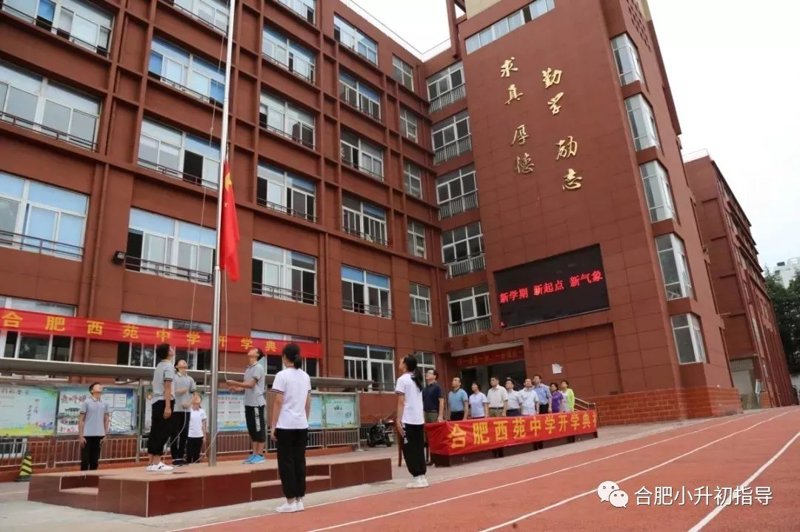 合肥新华实验中学:教育之光在历史长河中的闪耀